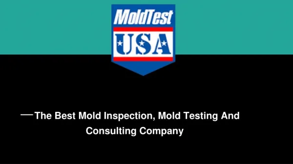 Mold Inspection Alabama