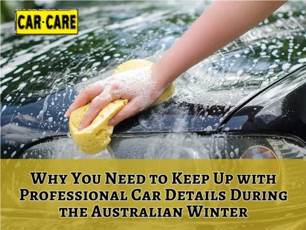 Why You Need to Keep Up with Professional Car Details During the Australian Winter