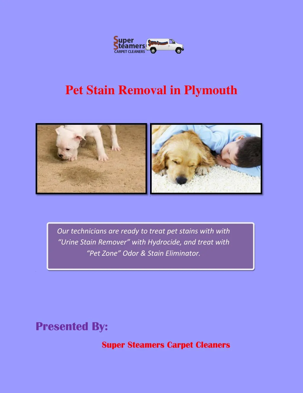 pet stain removal in plymouth