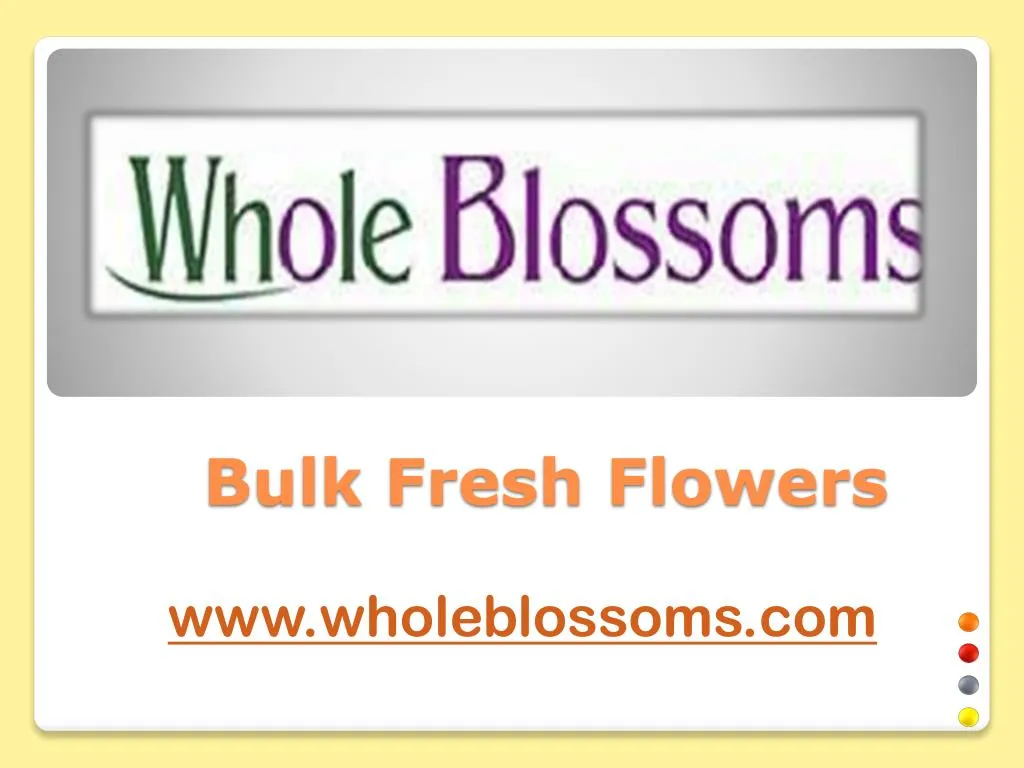 bulk fresh flowers
