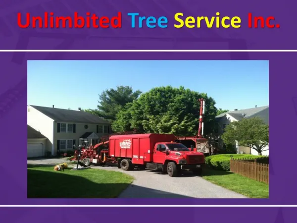 unlimbited tree service inc