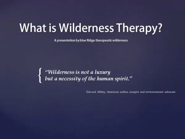 What is Wildernes Therapy