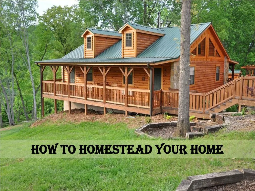 how to homestead your home
