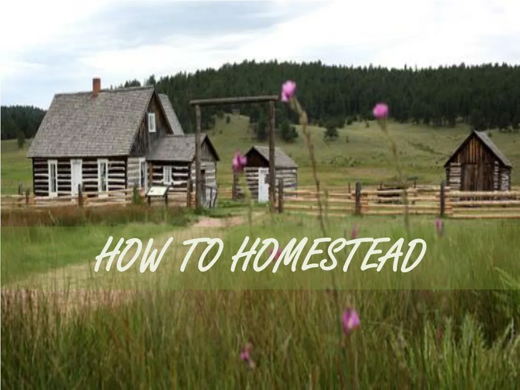 how to homestead