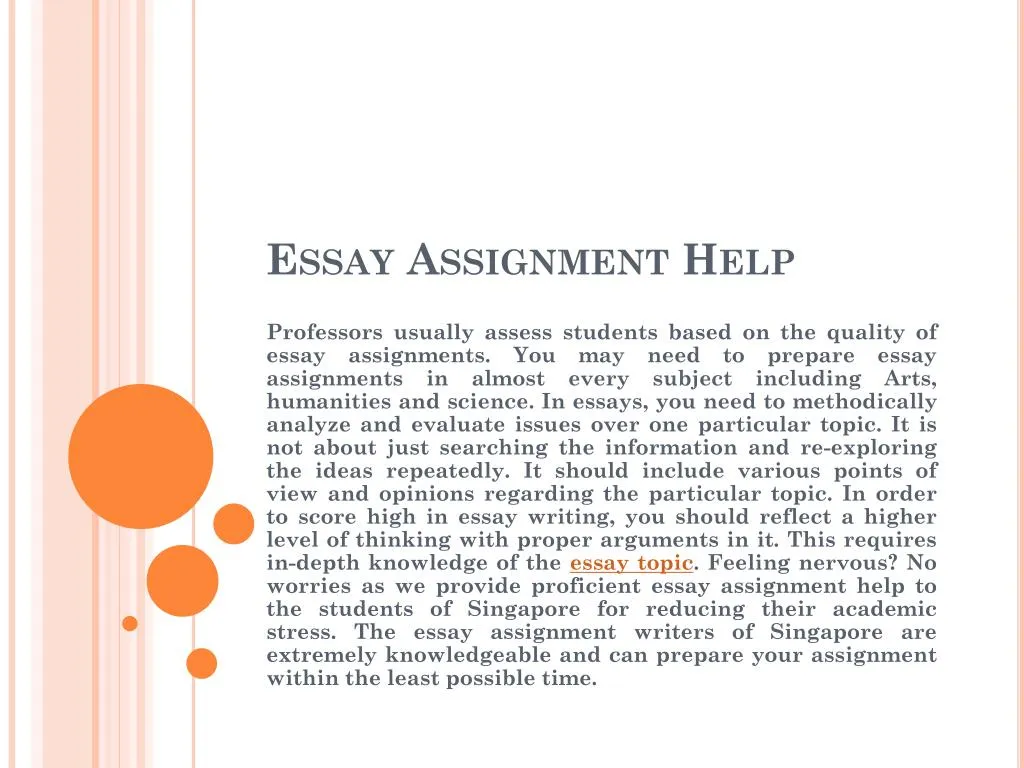assignment essay help