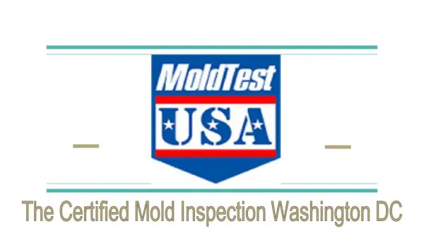 Mold Inspection Washington DC