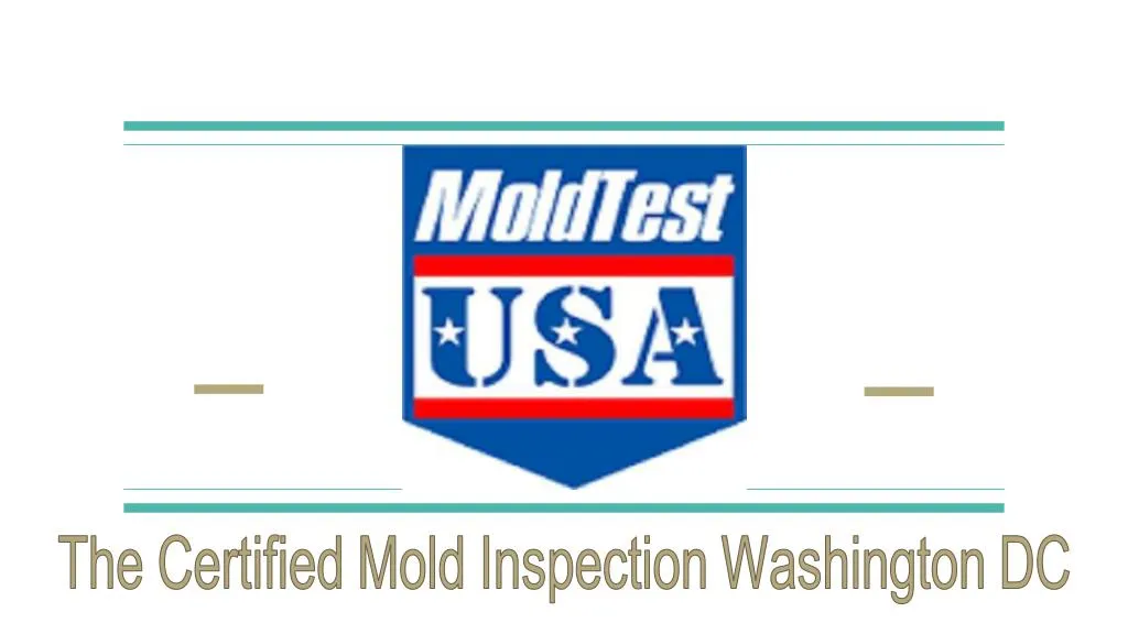 the certified mold inspection washington dc