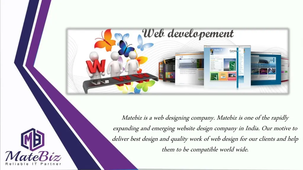 matebiz is a web designing company matebiz