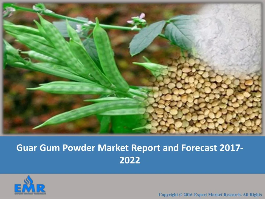 guar gum powder market report and forecast 2017