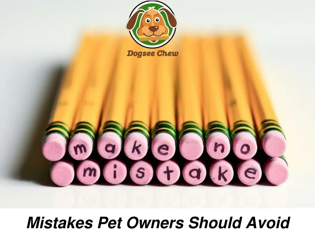 mistakes pet owners should avoid