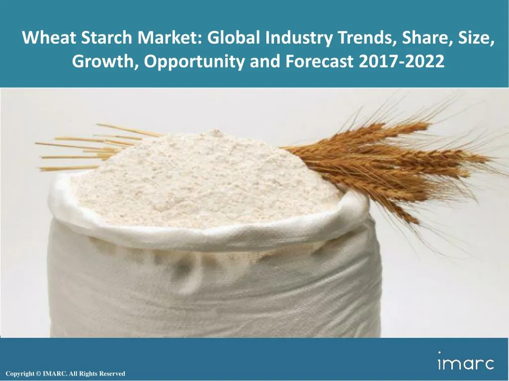 wheat starch market global industry trends share