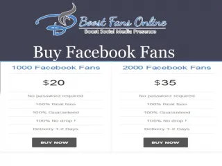 Buy facebook fans