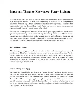 Important Things to Know about Puppy Training - slide 1