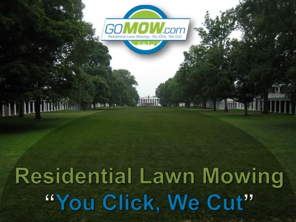 GoMow - Premier Lawn Care services in Texas Areas