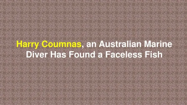 Harry Coumnas, an Australian Marine Diver Has Found a Faceless Fish