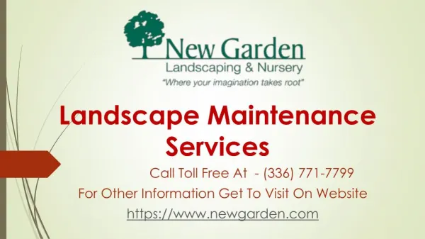 New Garden Landscaping and Nursery