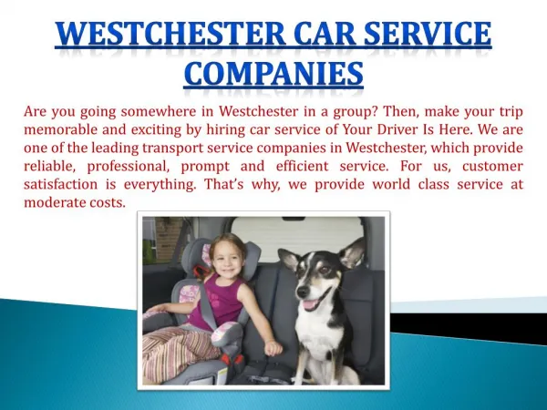 Westchester Car Service Companies