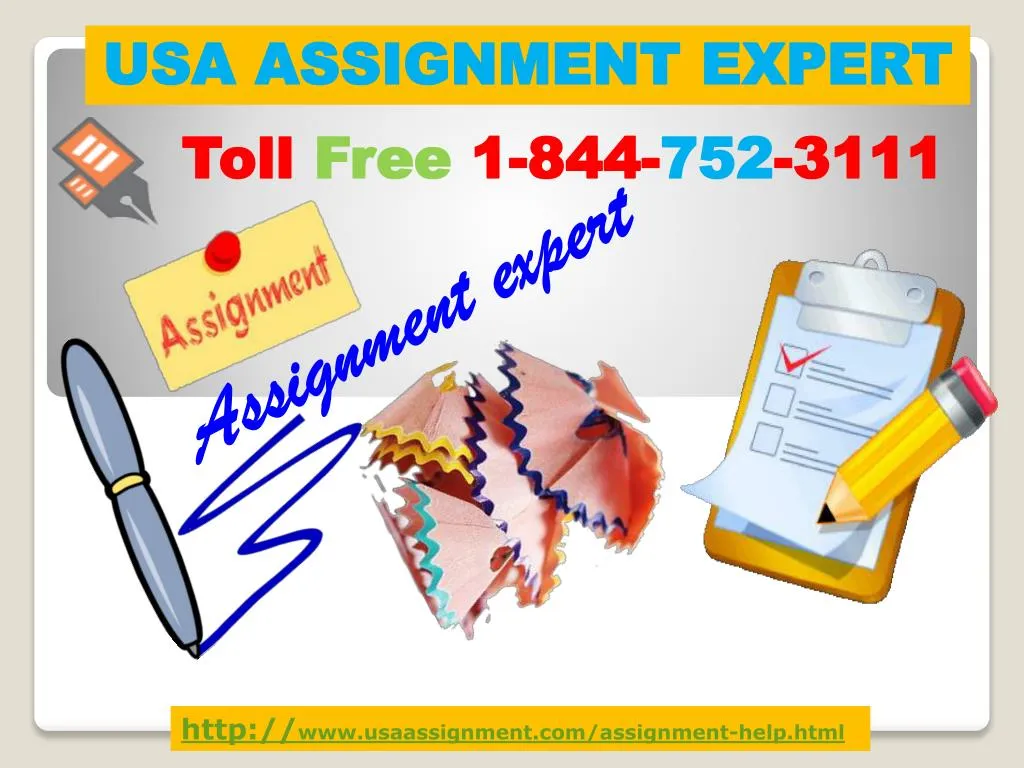 usa assignment expert