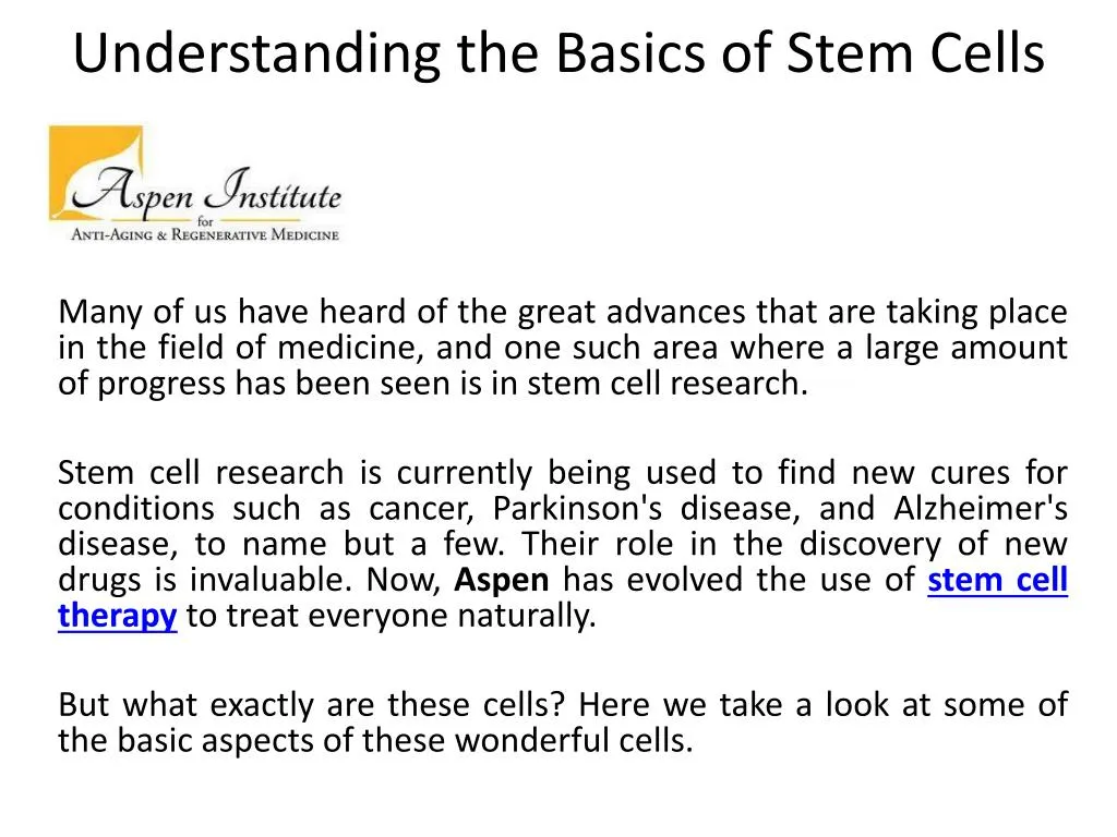 understanding the basics of stem cells