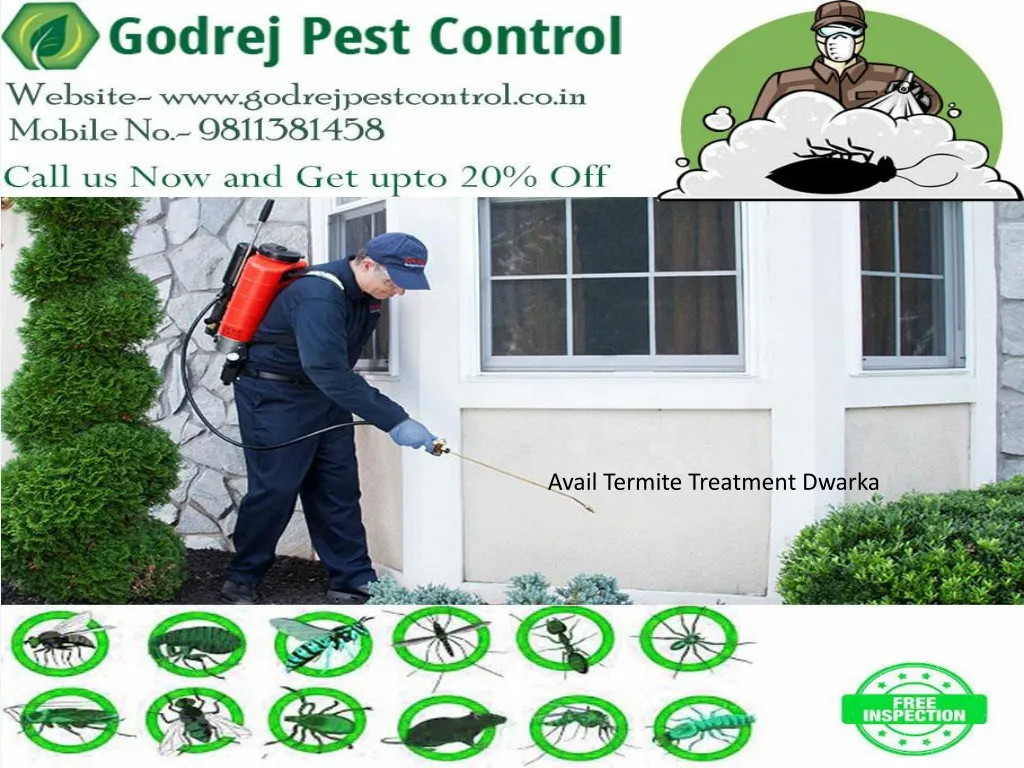 avail termite treatment dwarka