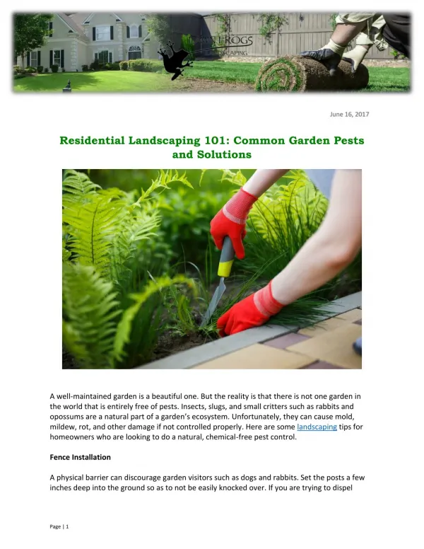 Residential Landscaping 101: Common Garden Pests and Solutions