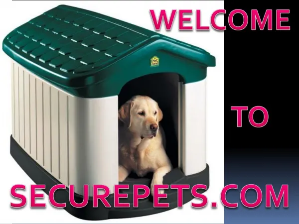 4 Benefits a Dog House air Conditioner and Heater can Serve
