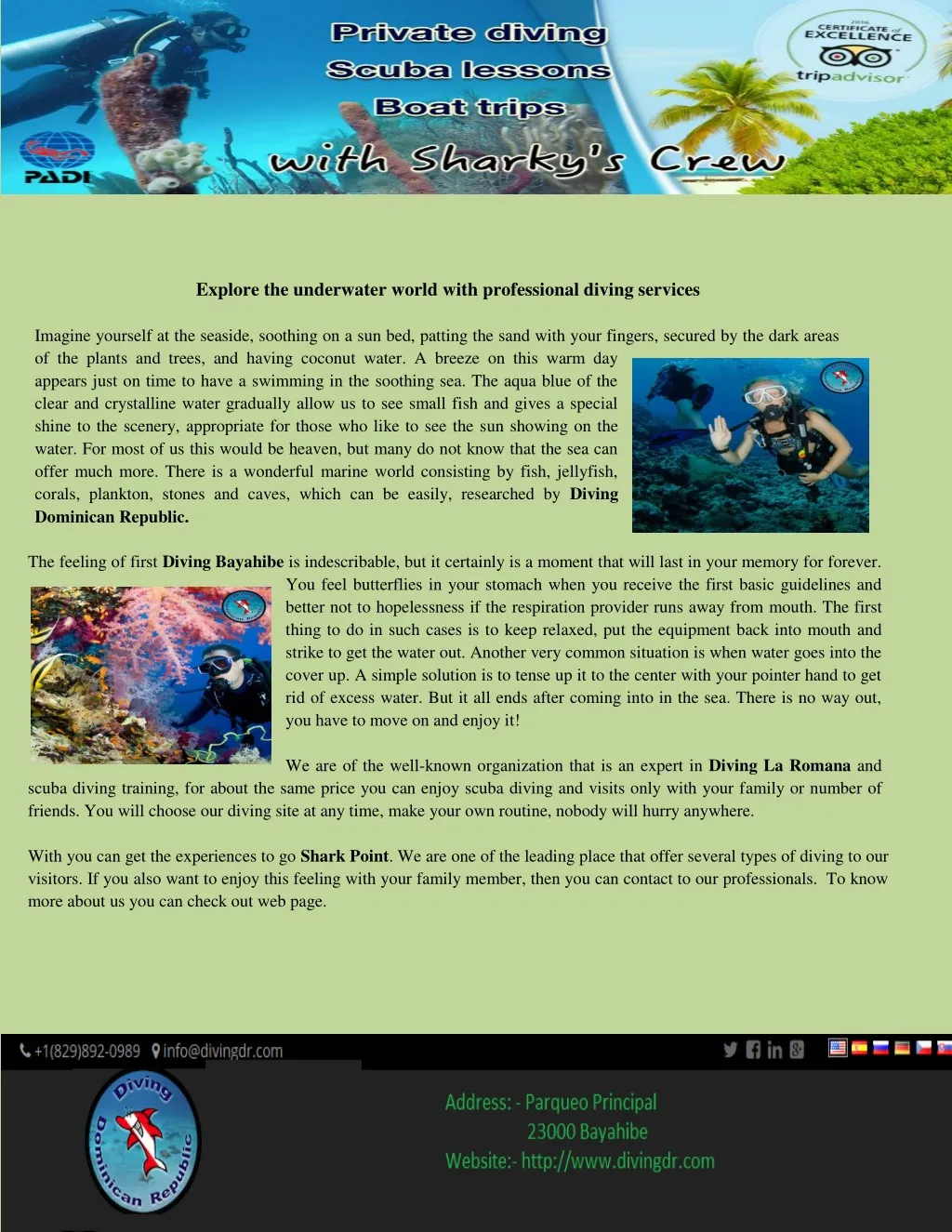 explore the underwater world with professional