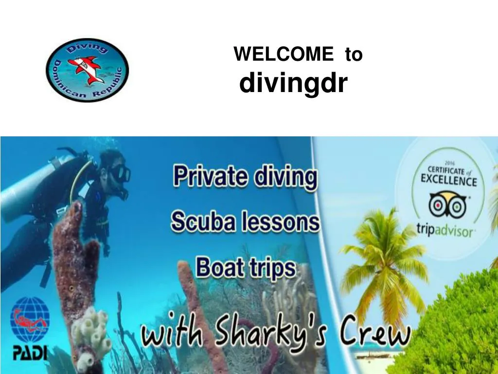 welcome to divingdr