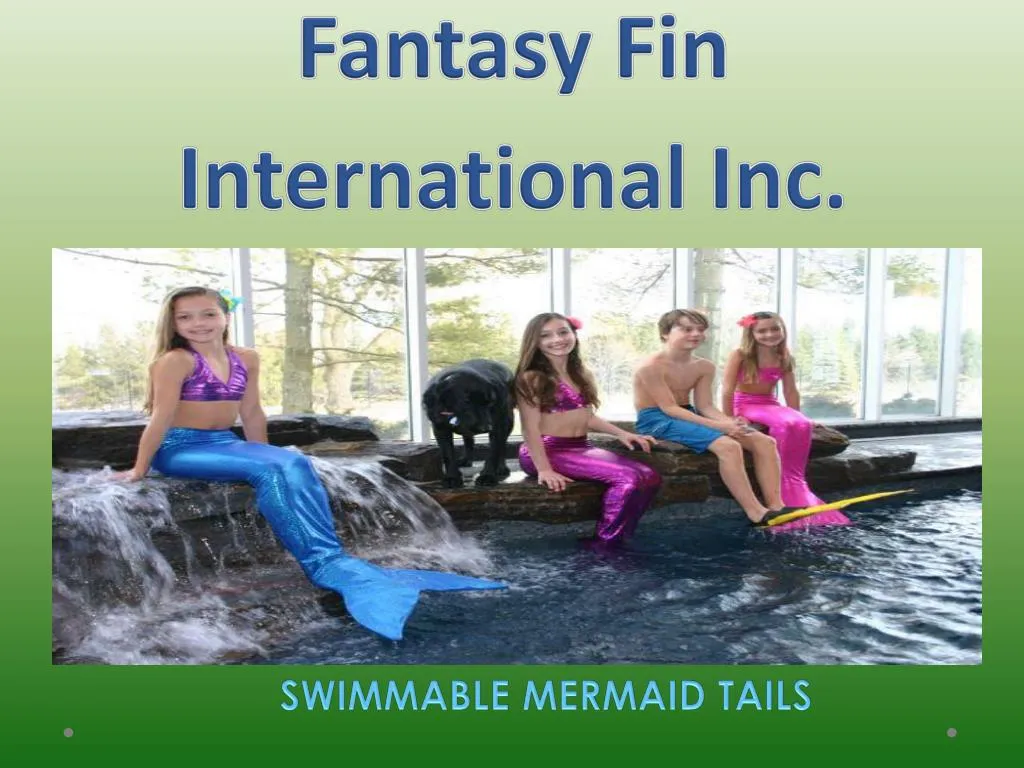 fantasy fin international inc
