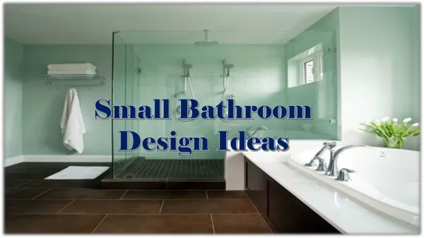 Small Bathroom Design Ideas