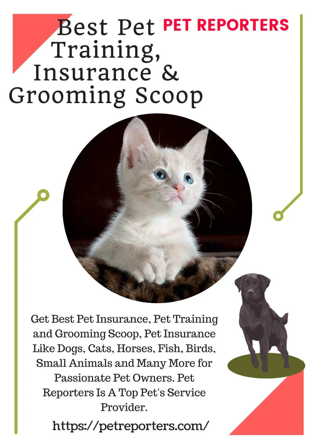 best pet training insurance grooming scoop
