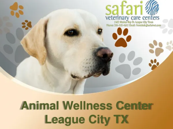 Best and Affordable Pet Care Services at Safari Vet, League City TX