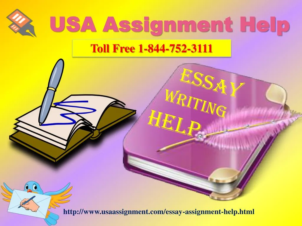 usa assignment help