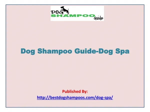 Dog Shampoo Guide