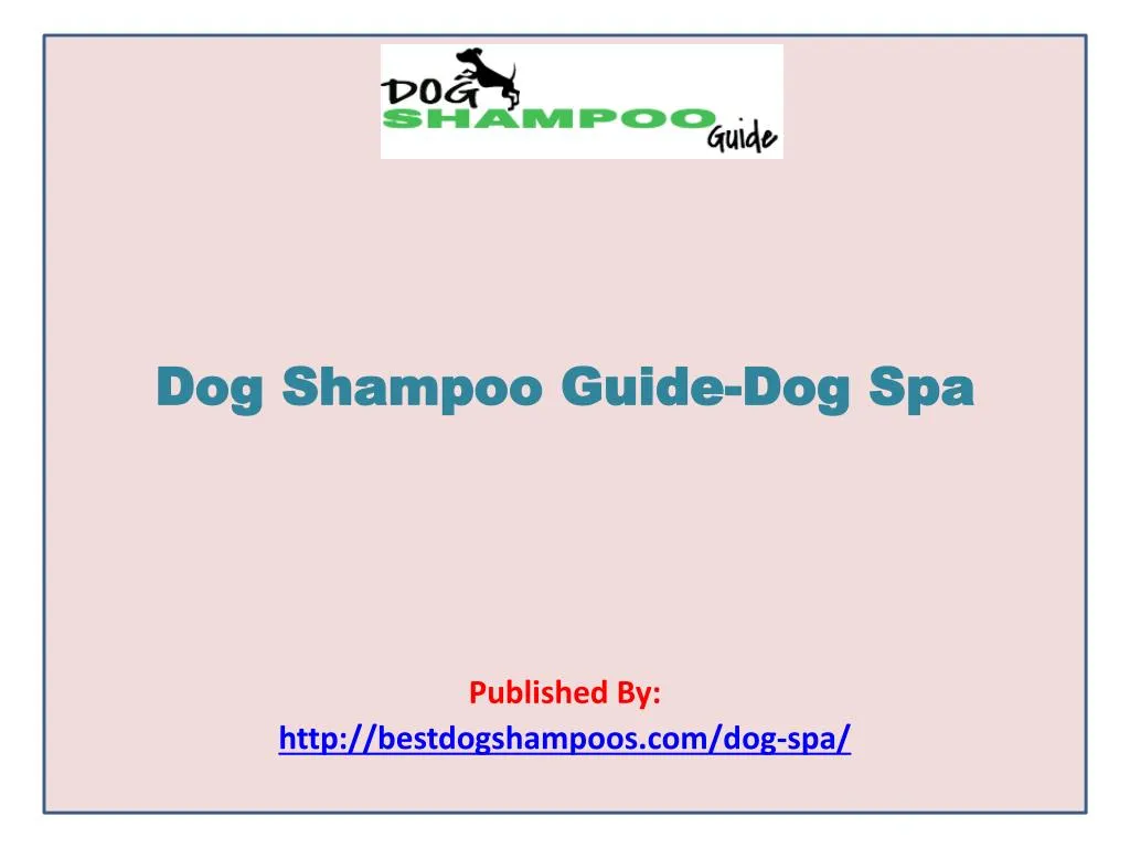 dog shampoo guide dog spa published by http bestdogshampoos com dog spa