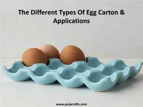 The Different Types Of Egg Carton & Applications