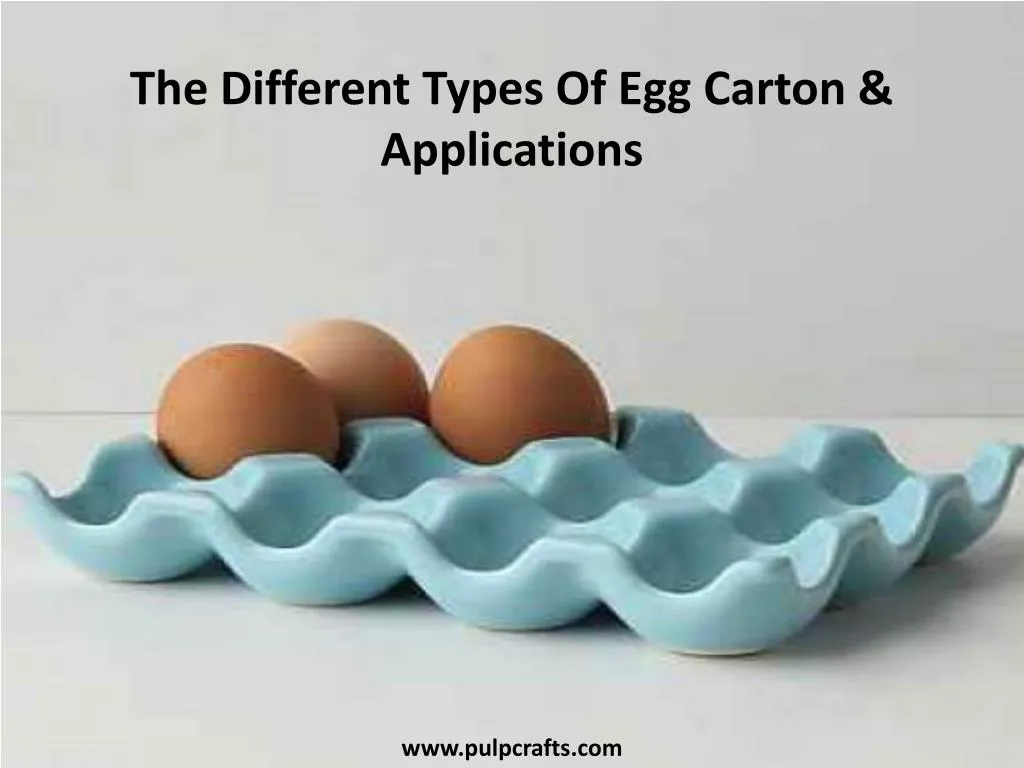 the different types of egg carton applications