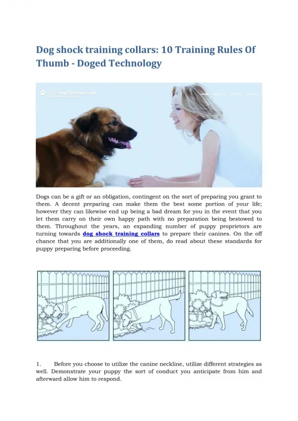 Dog shock training collars - 10 Training Rules Of Thumb