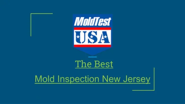 Mold Inspection New Jersey