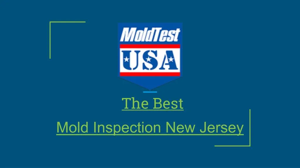 mold inspection new jersey