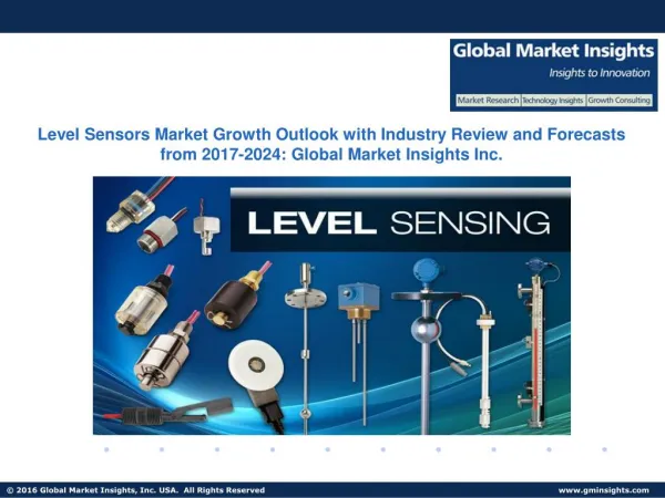 Level Sensors Industry Business Development Analysis and Future Challenges by 2024