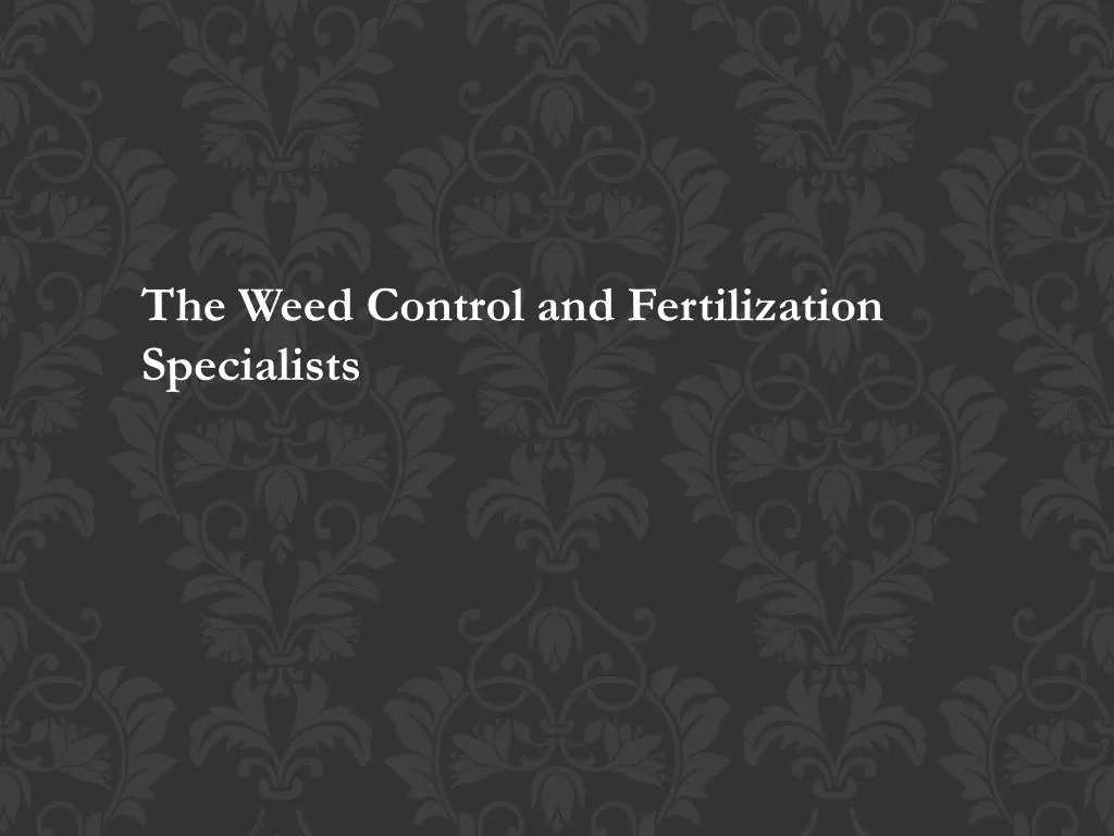 the weed control and fertilization specialists