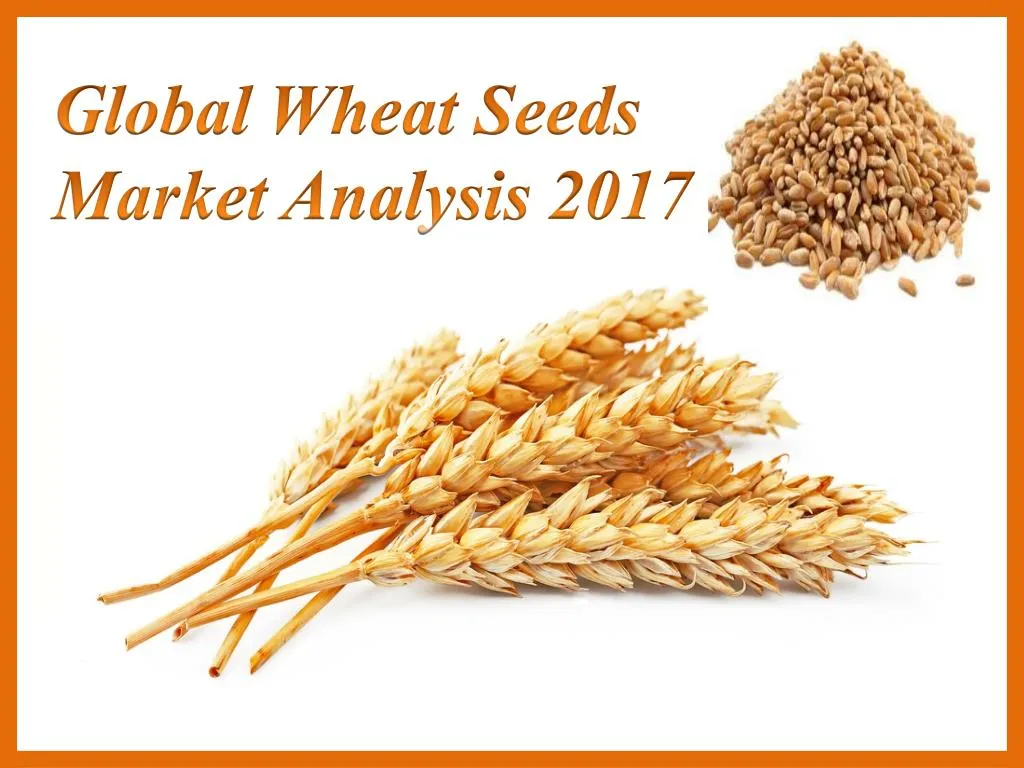 global wheat seeds market analysis 2017