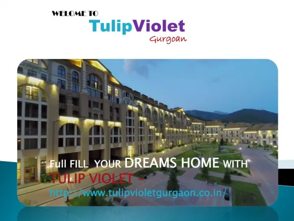 Best Deals In Tulip Violet Sector 69 Gurgaon