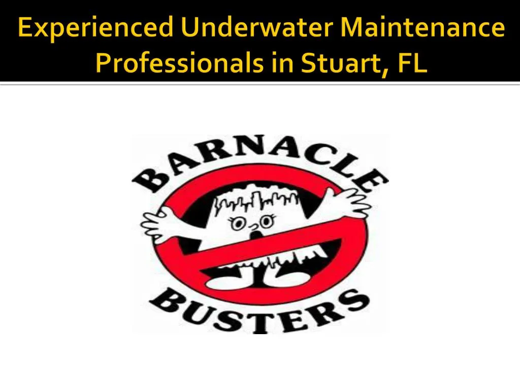 experienced underwater maintenance professionals in stuart fl