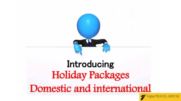 Domestic And International Tour Packages