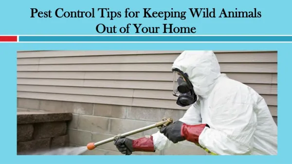 Pest Control Tips for Keeping Wild Animals Out of Your Home
