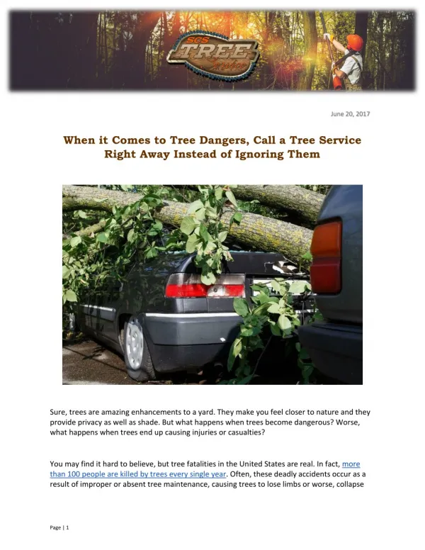 When it Comes to Tree Dangers, Call a Tree Service Right Away Instead of Ignoring Them