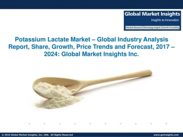 Potassium Lactate Market Share, Segmentation, Report 2024