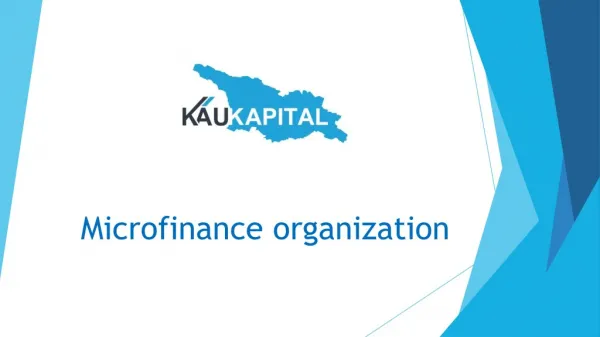 Micro-Financial Organisation In Georgia